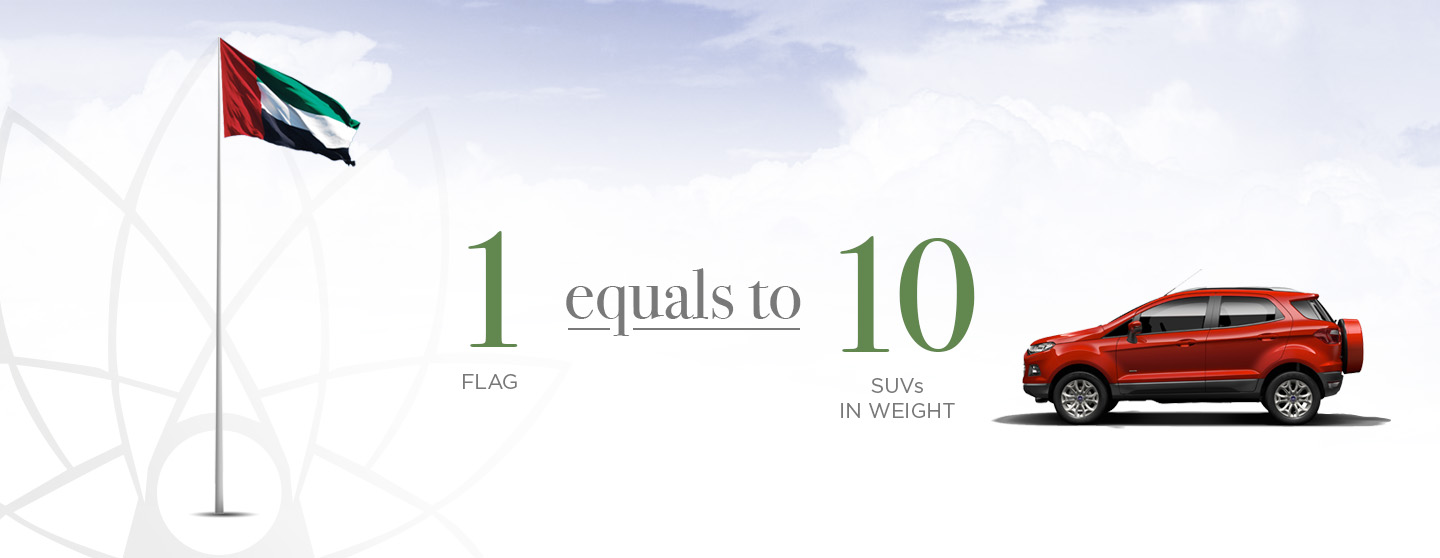 FI_Infographs01