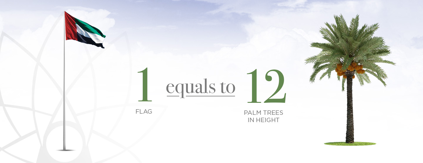 FI_Infographs02