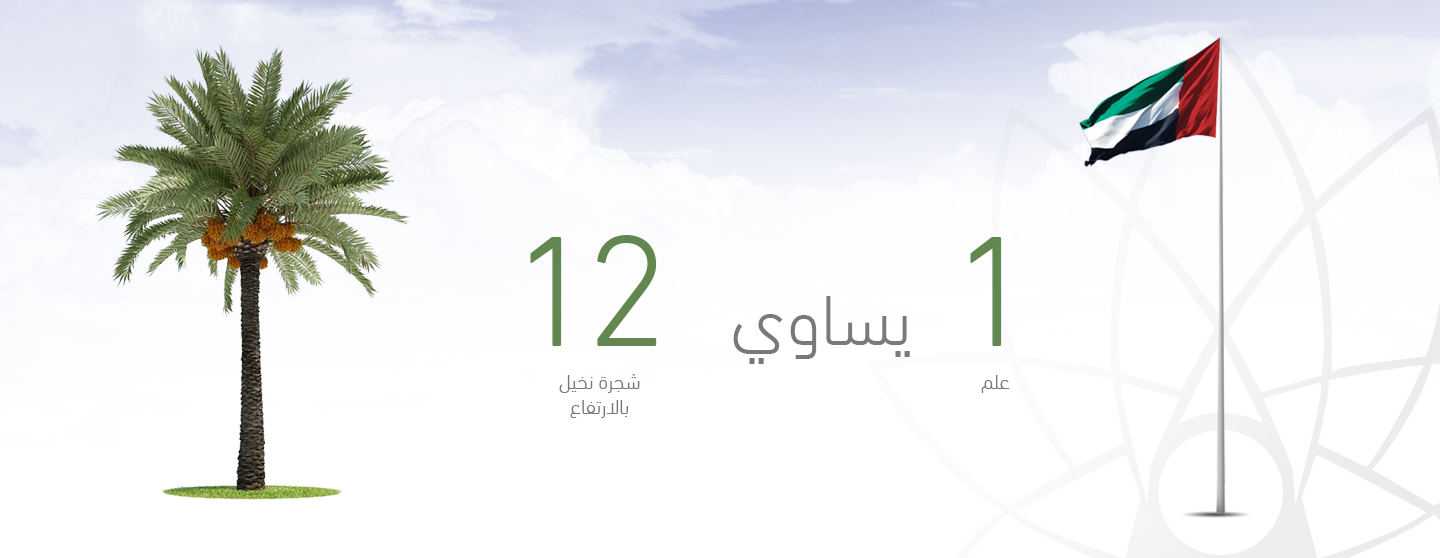 FI_Infographs02_ar
