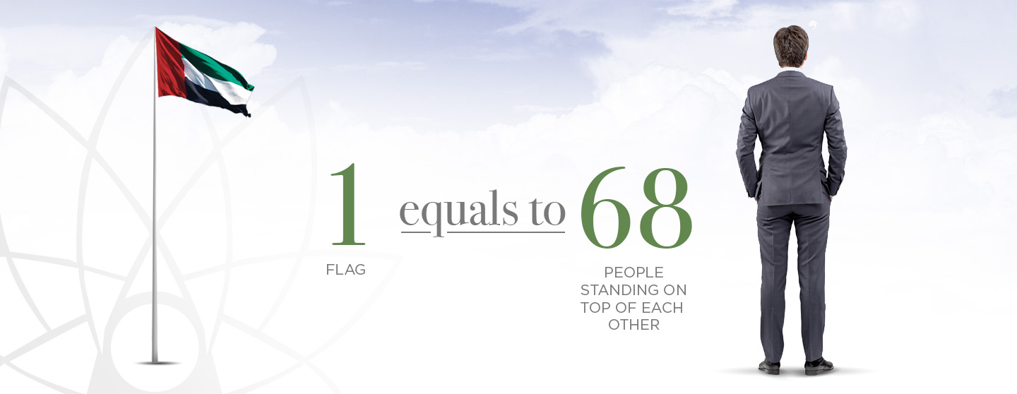 FI_Infographs03