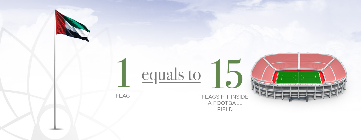 FI_Infographs04